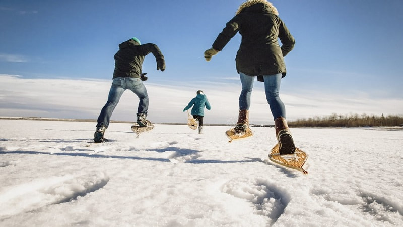 آب و هوای زمستان آلبرتا کانادا